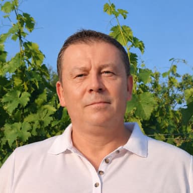 František Lamáček